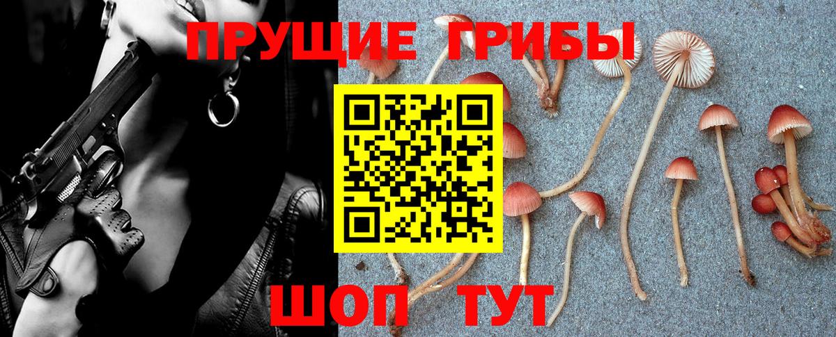 Великие Луки  Псилоцибиновые грибы Cubensis  Вход с VPN 