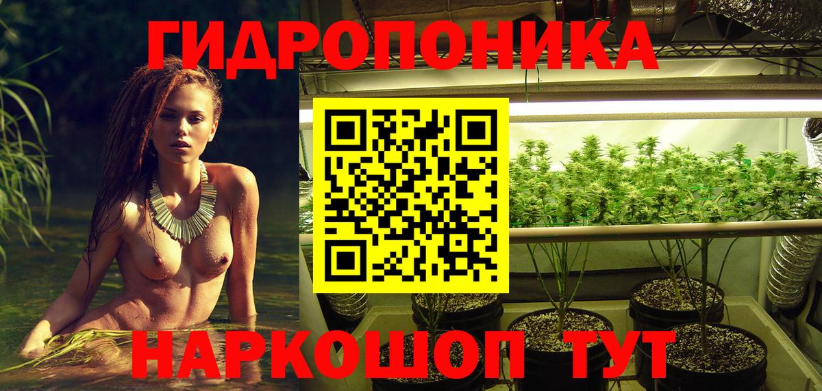 Великие Луки  Бошки марихуана Ganja  Канабис план  Вход с VPN 